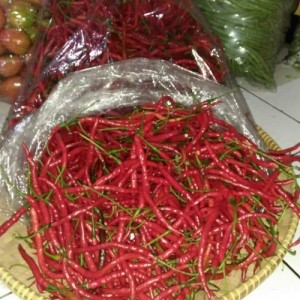 Catering di Kembangan