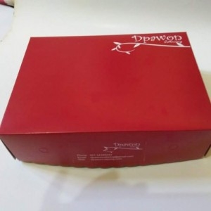 Nasi Box Buka Puasa Pejaten